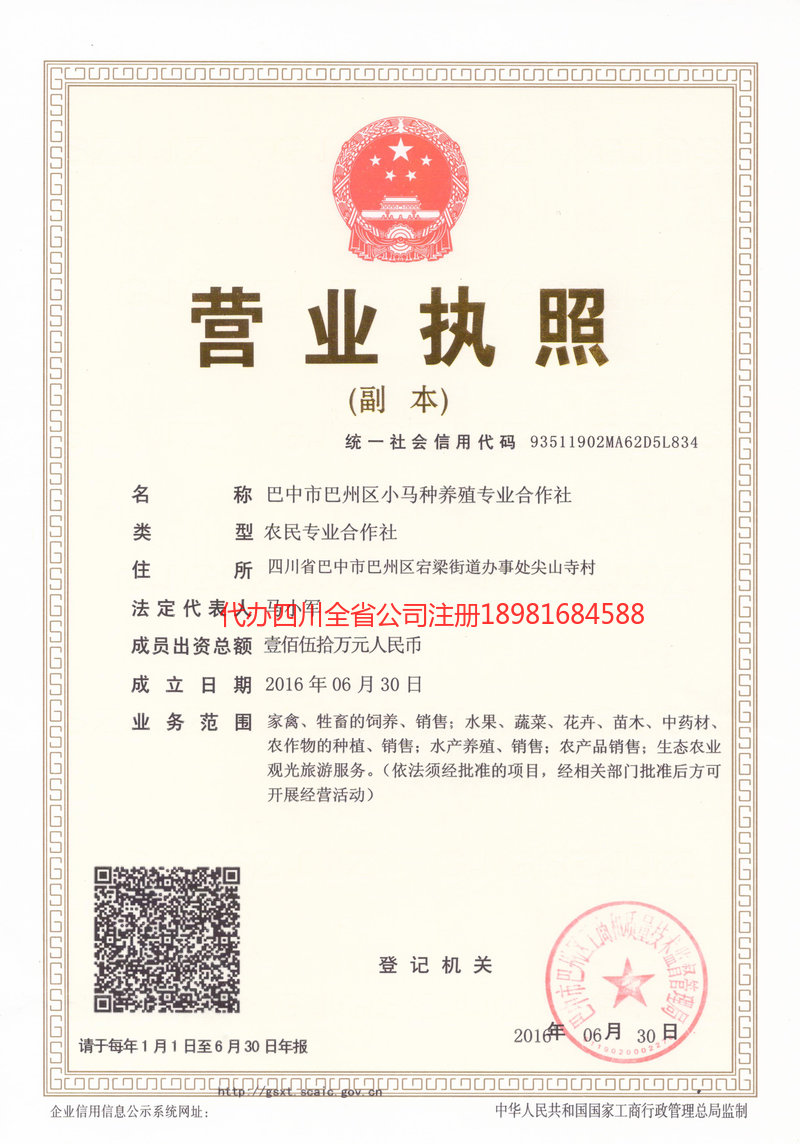 合作合作小马种养殖专业合作社